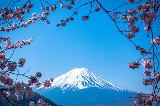 Tecnovino Japón Monte Fuji